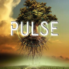 Pulse by Patrick Carman