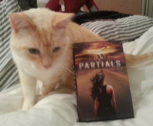 Cat with Partials by Dan Wells