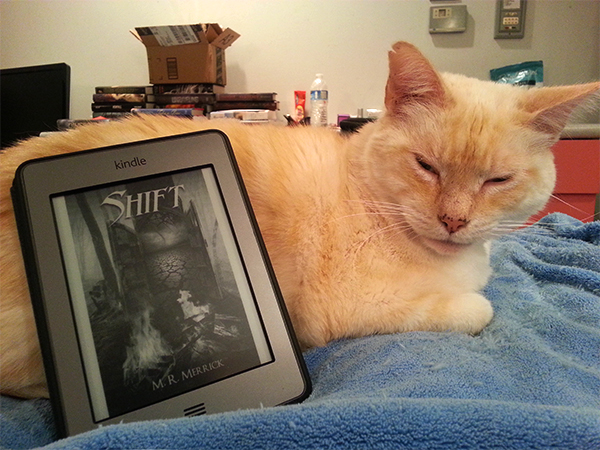 Cat with Shift by M.R. Merrick