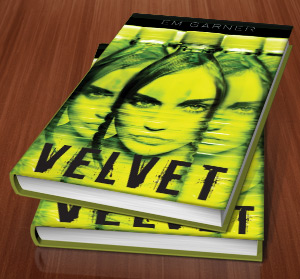 Velvet by Em Garner - The Perfect Cover