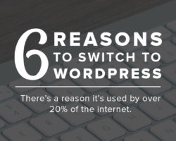 6 Reasons Why You Should Switch to WordPress