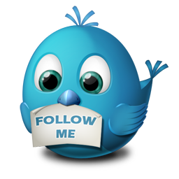 Twitter Bird - Follow Me