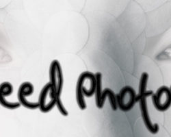 Do Book Bloggers Need Photoshop?  If So, Which Version?