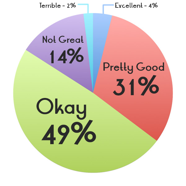 Terrible (2%); Not Great (14%); Okay (49%); Pretty Good (31%); Excellent (4%)