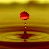 Photography: Water Drop Splash