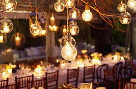Hanging light bulbs for Wedding