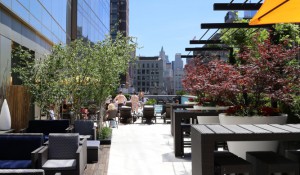 Trump SoHo Rooftop Pool