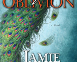 Review: Beautiful Oblivion by Jamie McGuire
