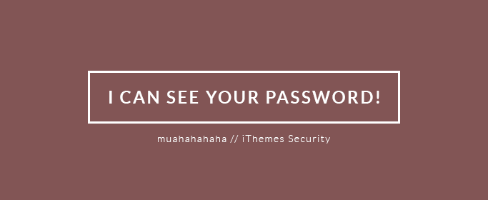 I can see your password! - iThemes Security