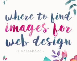 Where to Find Images to Use in Web Design