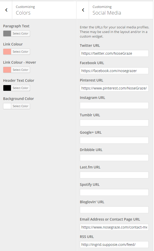 Screenshot of the Customizer settings for the Ingrid theme
