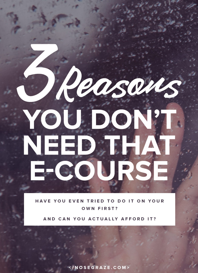 3 reasons you don't need that e-course. Have you actually tried to learn on your own first? Can you even afford the course?