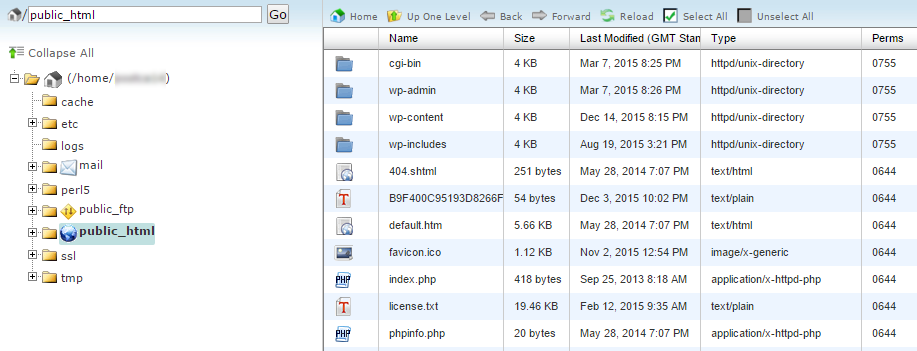 File Manager showing the public_html directory.